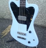 pickguard.jpg