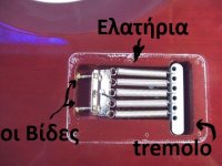 back-of-body-springs-exposed.jpg
