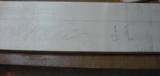 Maple_Neck_1.jpg