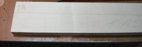 Maple_Neck_2.jpg
