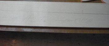 Maple_Neck_3.jpg