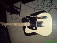 American_Ash_Tele.jpg