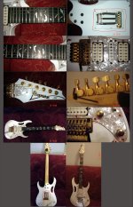 ibanez_jem_noiz.jpg