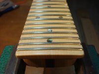 DSC02870.jpg