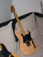 Strat_Tele.jpg
