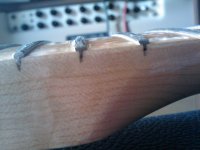 New_frets.jpg
