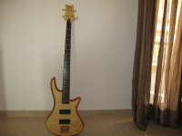 IMG_0883-schecter.JPG