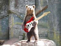 bear_guitar.jpg