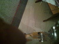 IMG_20130119_210003.jpg
