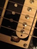 lp_trad_pro_3.JPG lp_trad_pro_3.JPG