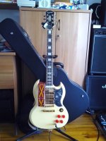 Sg_Custom_renewed.jpg