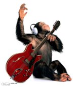 monkey.jpg