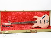 Απίδια_Fender.jpg