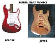 tortoisse_strat_pickguard221221221.jpg