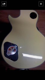 fakegibsonZakk_2.jpg