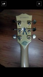 fakegibsonZakk_3.jpg