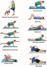 lower-back-exercises-9.jpg