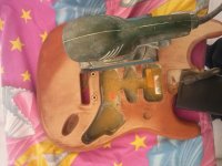 fender_27.jpg