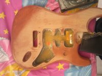 fender_28.jpg