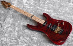 vm_guitar_dn_01.jpg