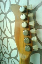 IMAG0034.jpg
