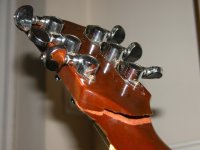 DSCN9600.JPG
