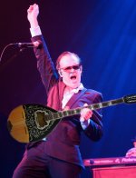 joe-bonamassa-performing-11.jpg