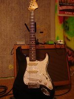 blues_dlx.JPG