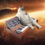 moogcat-7_n.jpg