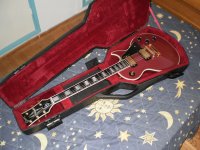 gibson_lite_87.jpg