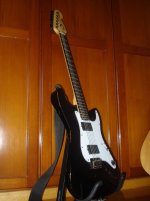 jim_root_strat.jpg