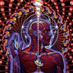 lateralus-51ffb2d506f20.jpg