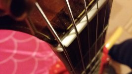 20170117_194036.jpg