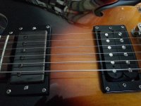 20170416_105603.jpg
