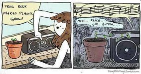 progrock.jpg