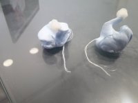 20190207_143009.jpg 20190207_143009.jpg