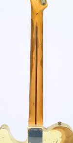 FCSJBESQ_neck-back.jpg