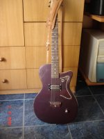 Danelectro_01.jpg