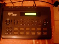 IMAG0117.JPG