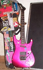 dd_charvel_picky.jpg