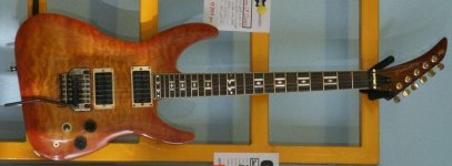 PEAVEY_VANDY.JPG