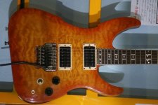 PEAVEY_VANDY_1.JPG