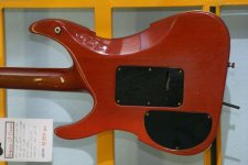 PEAVEY_VANDY_3.JPG