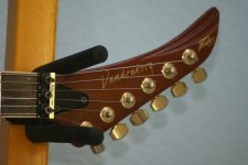 PEAVEY_VANDY_4.JPG
