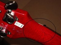 Epiphone_crack_4.JPG