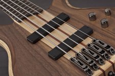 BTB675NTF_pickups.jpg