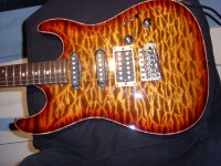 SL382293.JPG