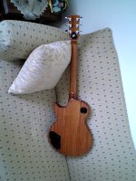 Guitar_Back.jpg