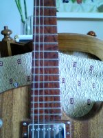 Fingerboard.jpg