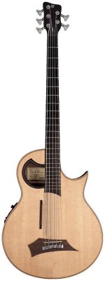 Alien_Acoustic_5-string.jpg Alien_Acoustic_5-string.jpg